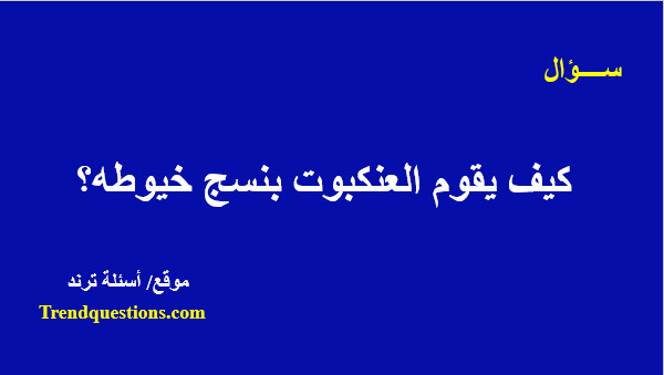 كيف يقوم العنكبوت بنسج خيوطه؟