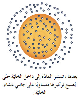 آليات النقل السلبي في الخلية