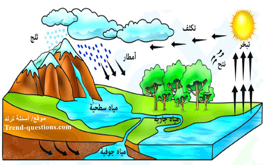 دورة الماء في الطبيعة (الدورة الهيدرولوجية)
