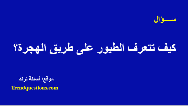 كيف تتعرف الطيور على طريق الهجرة؟