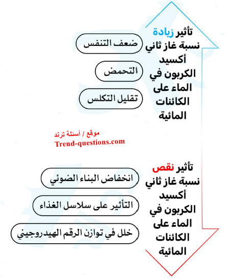 ما هو تأثير زيادة أو نقص غاز ثاني أكسيد الكربون في البيئة المائية؟