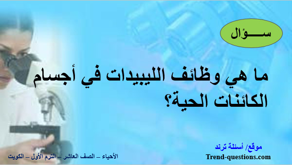 ما هي وظائف الليبيدات في أجسام الكائنات الحية؟