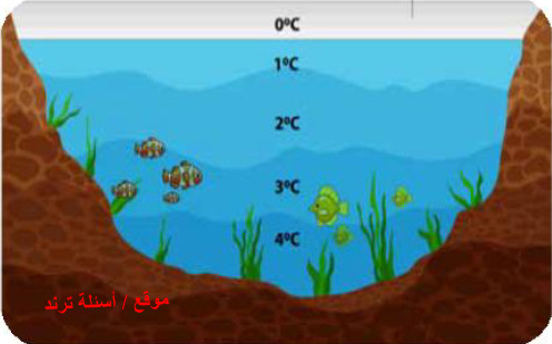 كثافة الماء في المناطق القطبية