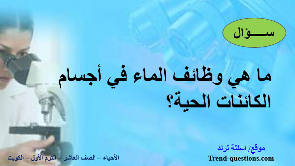 ما هي وظائف الماء في أجسام الكائنات الحية؟