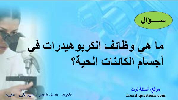 ما هي وظائف الكربوهيدرات في أجسام الكائنات الحية؟