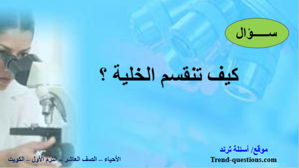 كيف تنقسم الخلية؟