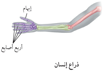 ما هي خصائص العلم الطبيعي؟