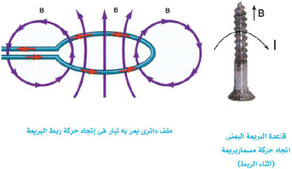 قاعدة البريمة اليمنى Right Hand Screw Rule