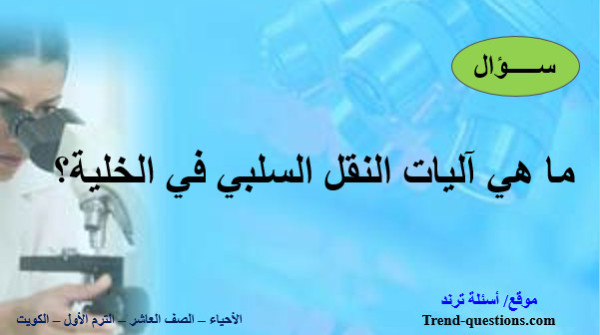 ما هي آليات النقل السلبي في الخلية؟