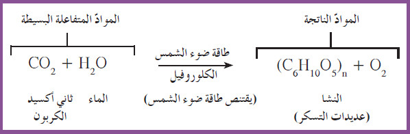 عمليات الأيض في أجسام الكائنات الحية