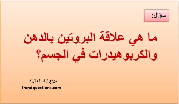 ما هي علاقة البروتين بالدهن والكربوهيدرات في الجسم؟