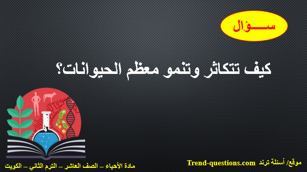 كيف تتكاثر وتنمو معظم الحيوانات؟