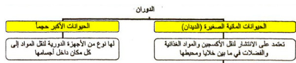 الوظائف الحيوية السبعة عند الحيوانات